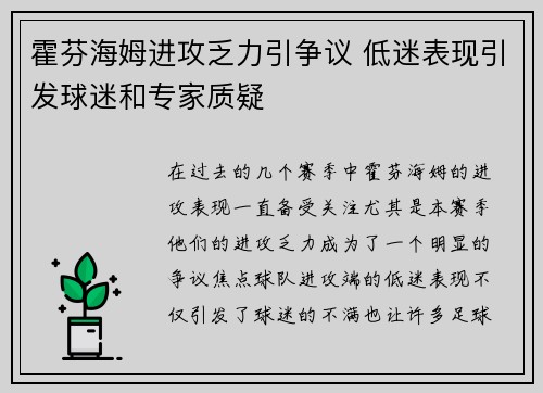 霍芬海姆进攻乏力引争议 低迷表现引发球迷和专家质疑