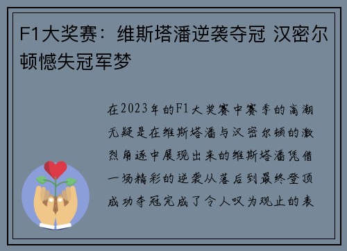 F1大奖赛：维斯塔潘逆袭夺冠 汉密尔顿憾失冠军梦