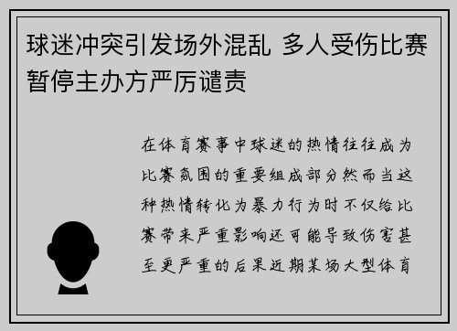 球迷冲突引发场外混乱 多人受伤比赛暂停主办方严厉谴责